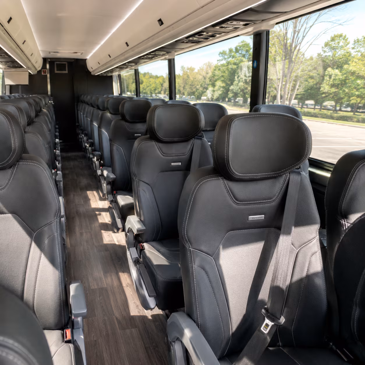 Elizabeth Concert Transportation & Shuttles