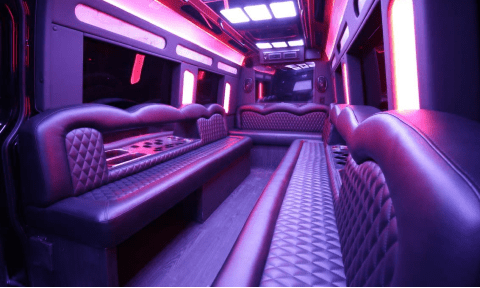 Yonkers 14 Passenger Sprinter Bus Interior